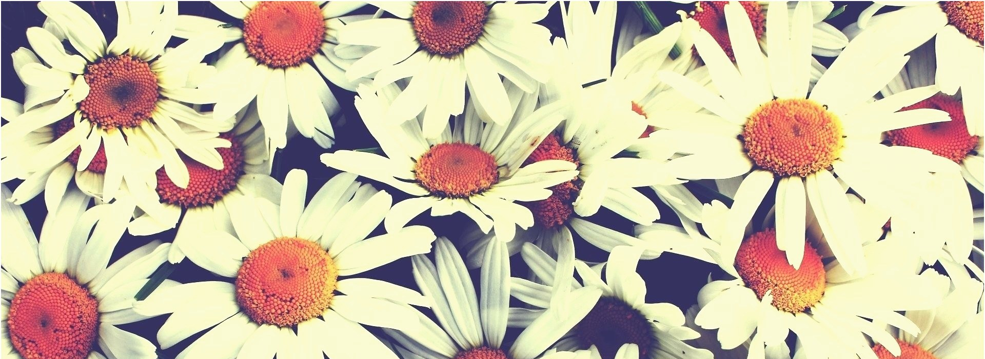 The quarantine diaries