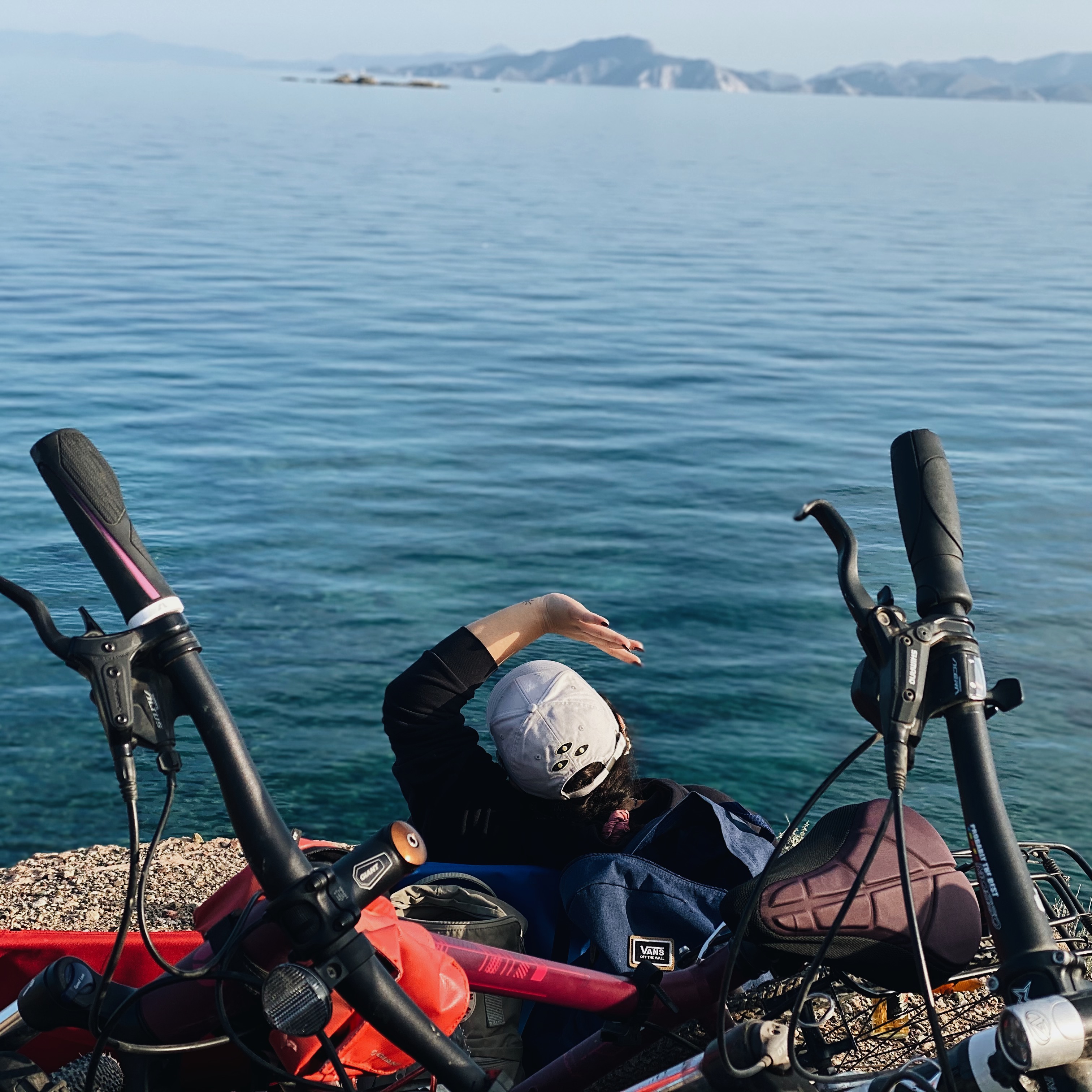 2020: A Year of Highs & Lows